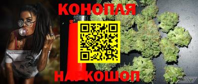 таблы Сланцы